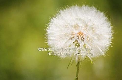 朋友圈勵志的經(jīng)典句子 朋友圈勵志的經(jīng)典句子