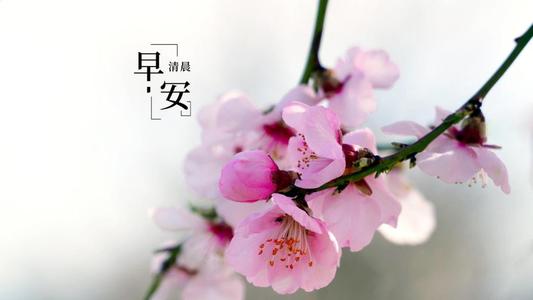 最好的早安問候語 最好的早安問候語