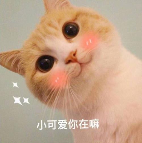 幽默損人的聊天句子 幽默損人的聊天句子