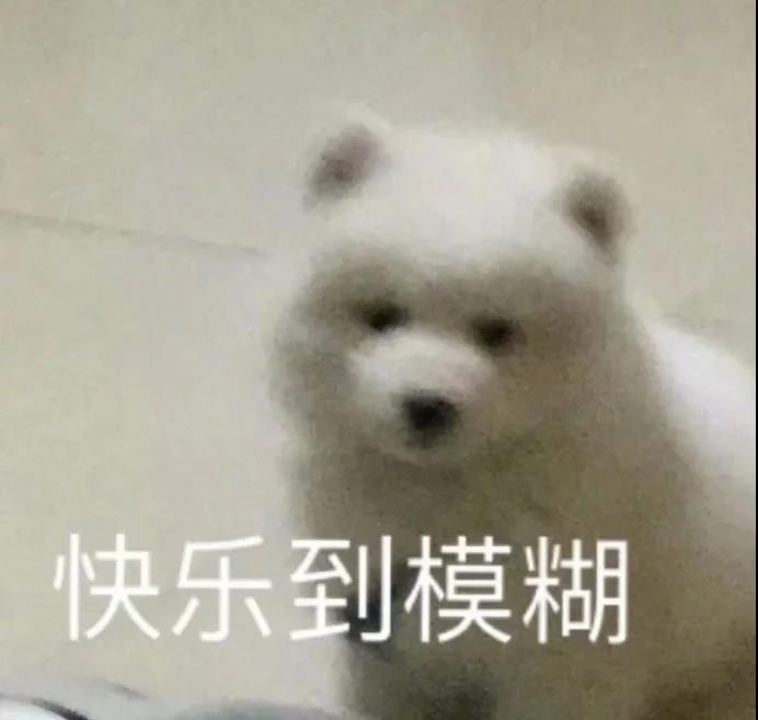 搞笑沙雕文案 搞笑沙雕文案