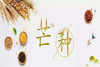 芒種節氣古詩詞
