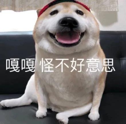 有趣的諧音梗笑話 有趣的諧音梗笑話