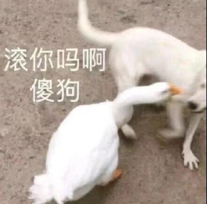 超級可愛又搞笑的短句 超級可愛又搞笑的短句