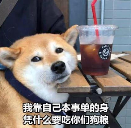 七夕節單身狗的搞笑句子