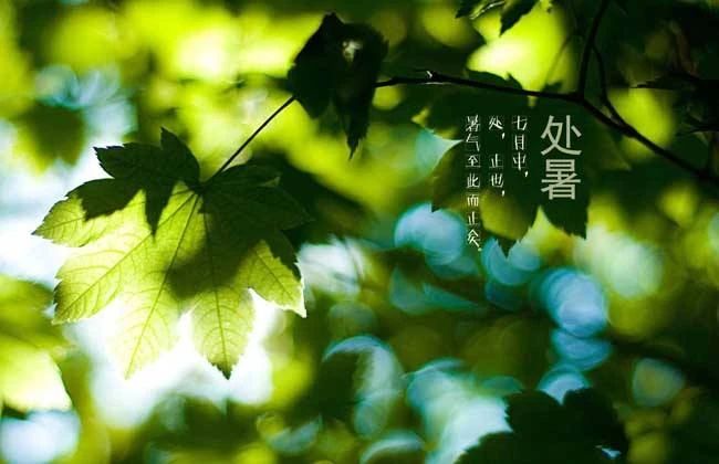 處暑節(jié)氣祝福語(yǔ) 適合處暑發(fā)的句子 處暑節(jié)氣祝福語(yǔ) 適合處暑發(fā)的句子