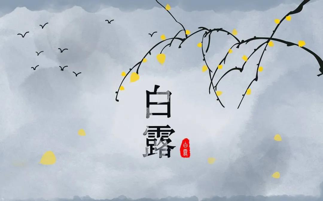 白露節氣祝福語大全 一句話描寫白露的句子
