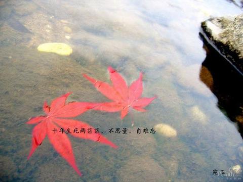 觸動(dòng)心靈的句子, 哪一句寫(xiě)到你的心里? 觸動(dòng)心靈的句子, 哪一句寫(xiě)到你的心里?